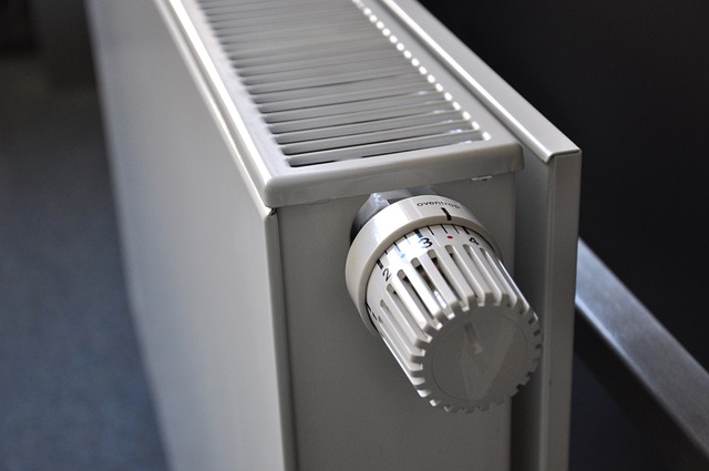 Pasos para limpiar el⁢ radiador⁢ de tu coche de manera⁤ efectiva