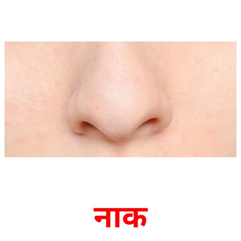 - Los poros de la nariz:‍ su⁣ importancia y cómo ⁣se obstruyen